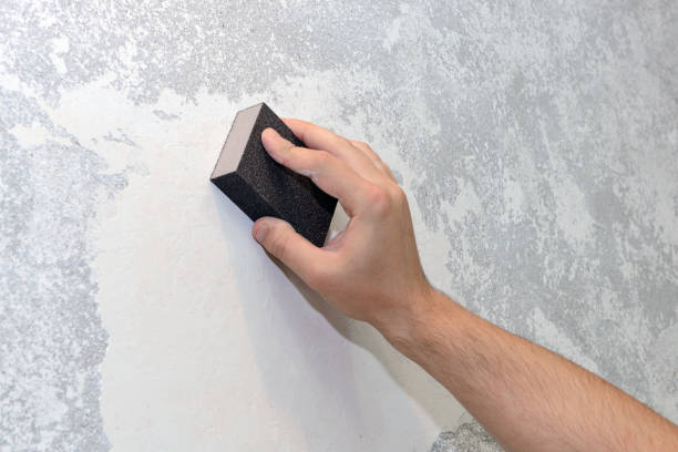 Best Mold Remediation for Rental Properties  in Munford, AL