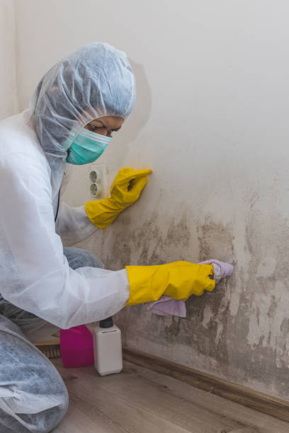 Best Post-Remediation Verification Testing  in Munford, AL