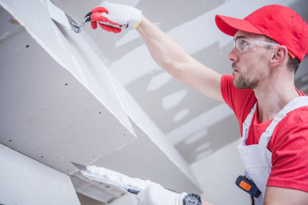 Best Attic Mold Removal  in Munford, AL