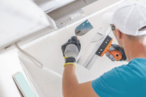 Best Mold Remediation for Healthcare Facilities  in Munford, AL